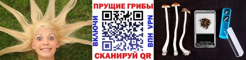 Псилоцибиновые грибы Magic Shrooms  наркота  Алейск 
